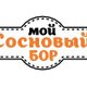 Мой Сосновый Бор в Любой-городе